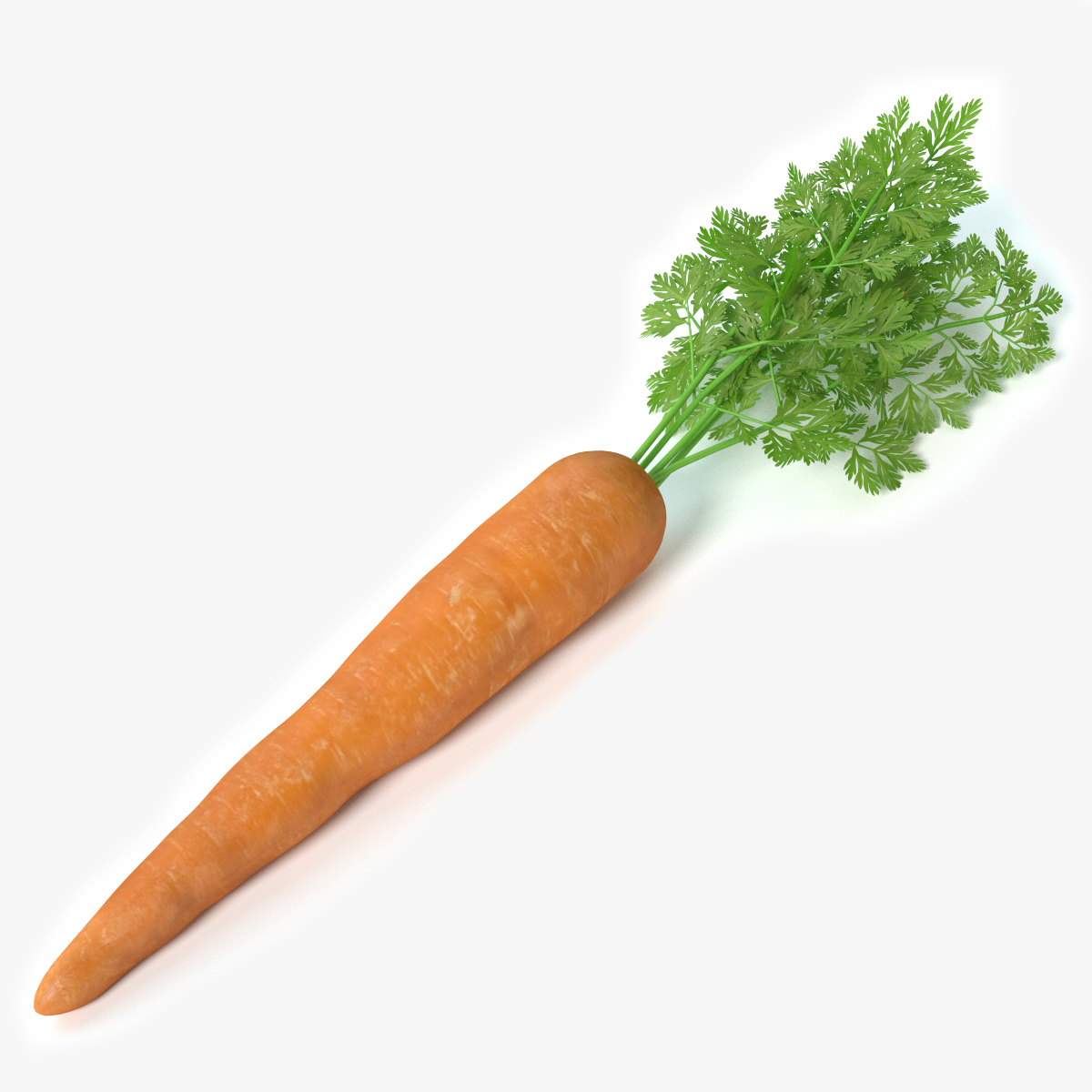 Картинка морковь на прозрачном фоне. Морковь. Морковь одна. Настоящая морковь. Одна морковка.